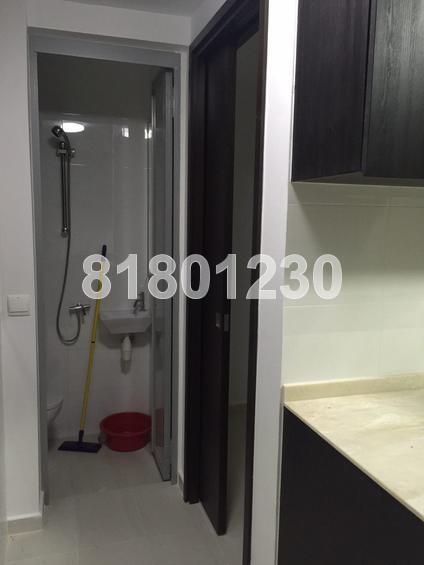 The Inflora (D17), Condominium #131767952